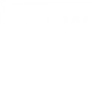 Bisterfeld und Weiss Logo