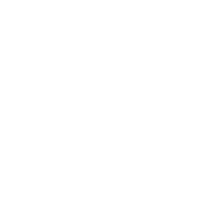 Nicole Kern Logo